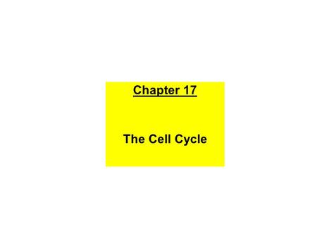 Chapter 17 The Cell Cycle.