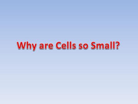 Ratio of Surface Area to Volume  As the cell grows, its volume increases much more rapidly than the surface area.  The cell might have difficulty.