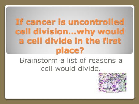 If cancer is uncontrolled cell division…why would a cell divide in the first place? Brainstorm a list of reasons a cell would divide.