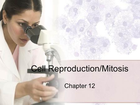 Cell Reproduction/Mitosis Chapter 12. What you need to know! Mitotic Cell division results in genetically identical daughter cells The mitotic phase alternates.