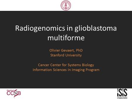 Radiogenomics in glioblastoma multiforme