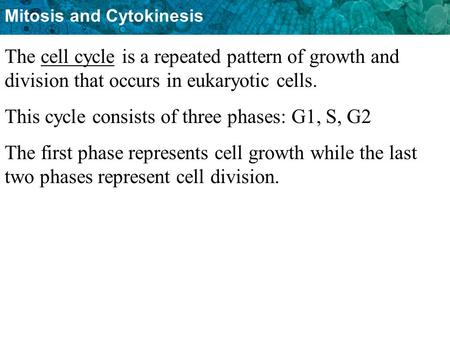 This cycle consists of three phases: G1, S, G2
