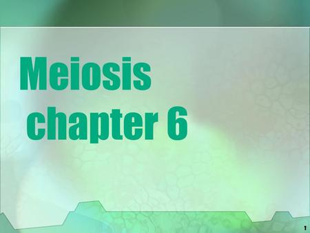 Meiosis chapter 6.