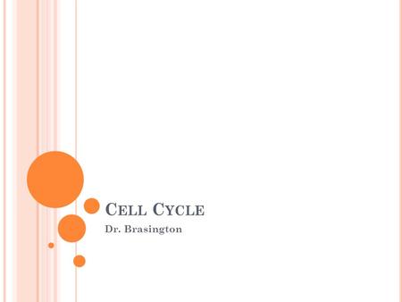 C ELL C YCLE Dr. Brasington. S OMATIC CELL DIVISION The process of a cell dividing into 2 identical daughter cells. Occurs when cells reach a certain.