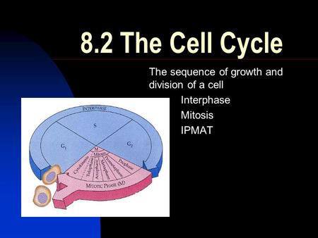 8.2 The Cell Cycle The sequence of growth and division of a cell Interphase Mitosis IPMAT.