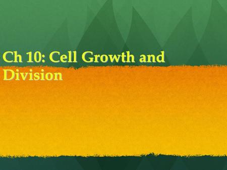 Ch 10: Cell Growth and Division. Cells Do not continue to grow bigger, instead they produce more cells Do not continue to grow bigger, instead they produce.