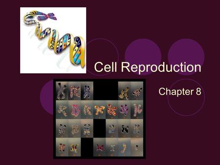 Cell Reproduction Chapter 8.