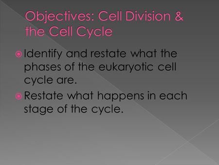  Identify and restate what the phases of the eukaryotic cell cycle are.  Restate what happens in each stage of the cycle.