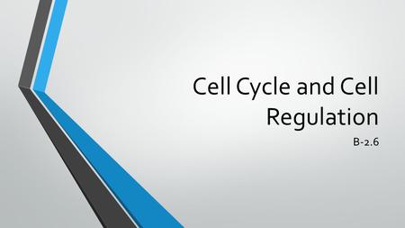 Cell Cycle and Cell Regulation B-2.6. Cell Cycle The cell cycle is a repeated pattern of growth and division that occurs in eukaryotic cells. This cycle.
