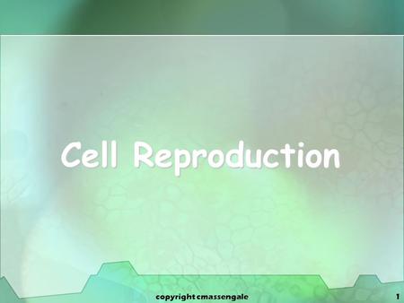 1 Cell Reproduction copyright cmassengale. 2 Types of Cell Reproduction Asexual reproduction involves a single cell dividing to make 2 new, identical.