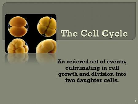 An ordered set of events, culminating in cell growth and division into two daughter cells. 1.