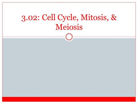 3.02: Cell Cycle, Mitosis, & Meiosis