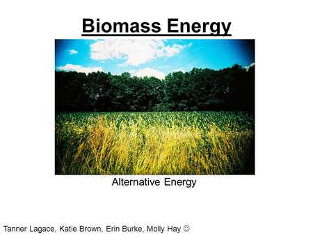 Biomass Energy Alternative Energy
