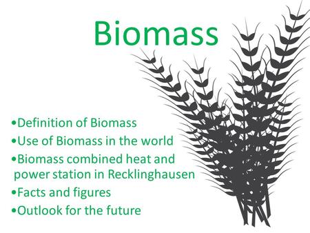 Biomass Definition of Biomass Use of Biomass in the world Biomass combined heat and power station in Recklinghausen Facts and figures Outlook for the future.