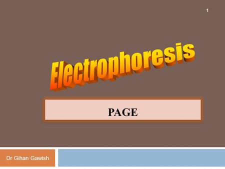 Electrophoresis PAGE Dr Gihan Gawish.