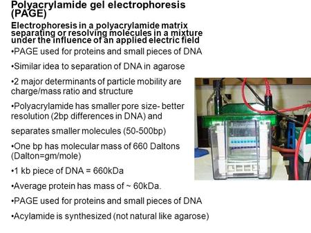 Polyacrylamide gel electrophoresis (PAGE) Electrophoresis in a polyacrylamide matrix separating or resolving molecules in a mixture under the influence.