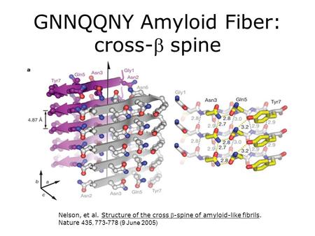 Nelson, et al. Structure of the cross -spine of amyloid-like fibrils. Nature 435, 773-778 (9 June 2005) GNNQQNY Amyloid Fiber: cross- spine.