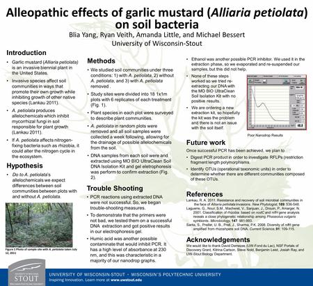 Alleopathic effects of garlic mustard (Alliaria petiolata) on soil bacteria Blia Yang, Ryan Veith, Amanda Little, and Michael Bessert University of Wisconsin-Stout.