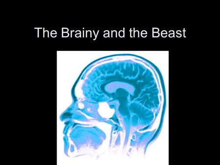 The Brainy and the Beast. How do we Study the Brain? Phineas Gage Tamping iron through the brain.