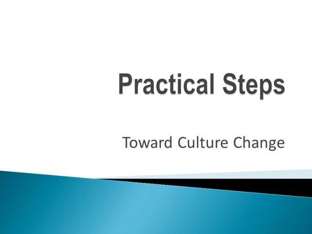 Toward Culture Change.  Agree to take this issue on as a priority  Create a Team/Work Group to develop a Restraint/Seclusion Action Plan  Formulate.