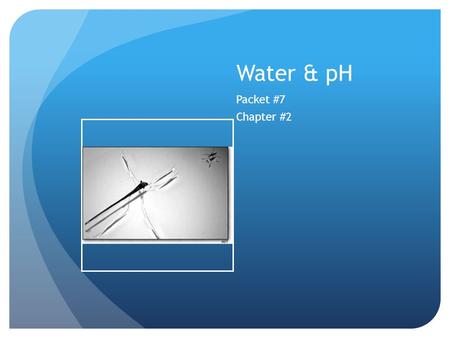 Water & pH Packet #7 Chapter #2. Introduction Most abundant liquid in the world Makes up at least half of all living organisms and up to 95% of some species.