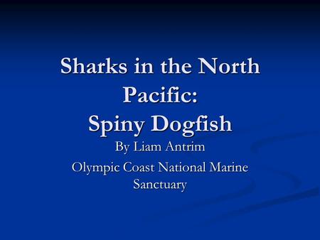 Sharks in the North Pacific: Spiny Dogfish By Liam Antrim Olympic Coast National Marine Sanctuary.