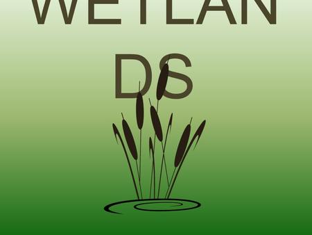 WETLAN DS. Wetlands are lands where saturation with water is the dominant factor determining the nature of soil development and the types of plant and.
