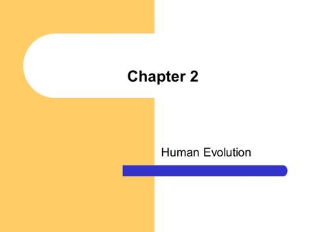 Chapter 2 Human Evolution.