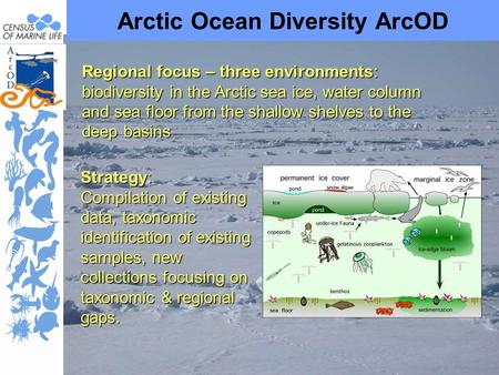 Arctic Ocean Diversity ArcOD Regional focus – three environments: biodiversity in the Arctic sea ice, water column and sea floor from the shallow shelves.