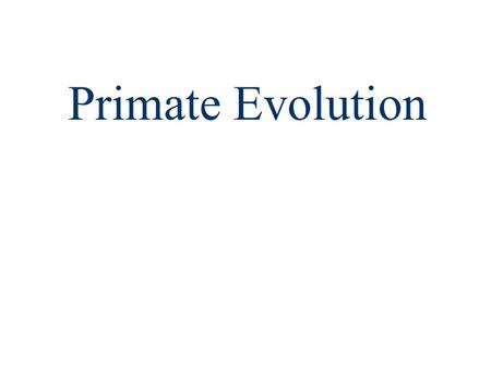 Primate Evolution.