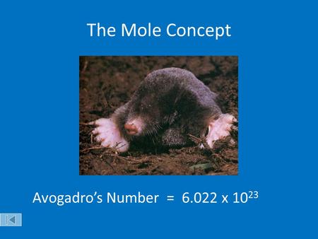 The Mole Concept Avogadro’s Number = x 1023 Objectives: