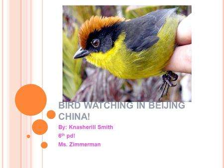 BIRD WATCHING IN BEIJING CHINA! By: Knasherill Smith 6 th pd! Ms. Zimmerman.