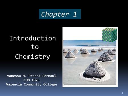 Chapter 1 Introduction to Chemistry Vanessa N. Prasad-Permaul CHM 1025