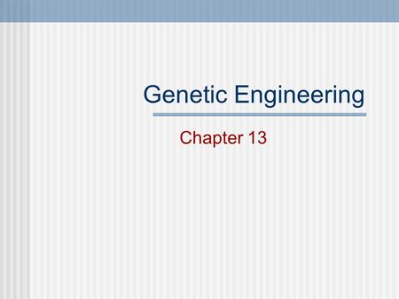 Genetic Engineering Chapter 13 Selective Breeding Choosing the BEST traits for breeding. Most domesticated animals are products of SB. Also known as:
