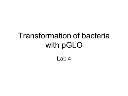 Transformation of bacteria with pGLO Lab 4. pGLO gene Bioluminescent jelly fish – Aequorea victoria – GFP causes fish to glow in dark Transformed E.coli.