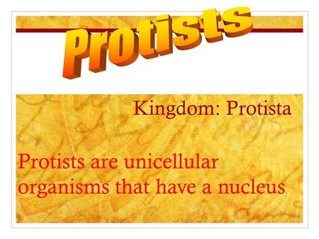Kingdom: Protista Protists are unicellular organisms that have a nucleus.