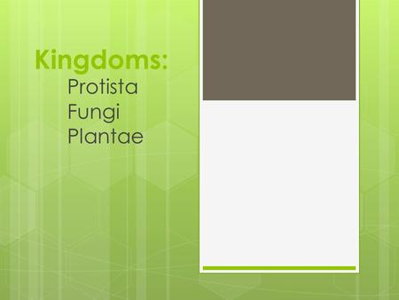 Kingdoms: Protista Fungi Plantae. Kingdom Protista  Unicellular eukaryotes  Many are both plant- and animal- like  Examples: unicellular algae and.