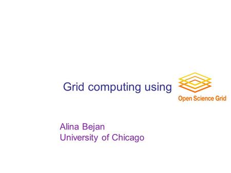 Grid computing using Alina Bejan University of Chicago.