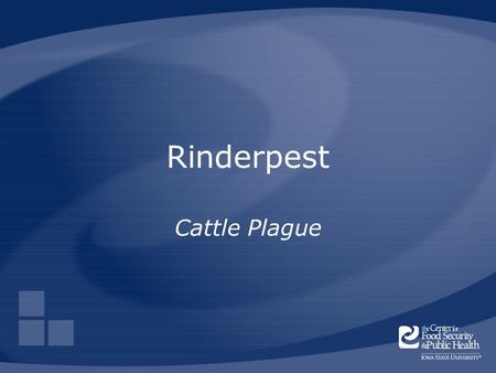 Rinderpest Cattle Plague. Center for Food Security and Public Health Iowa State University 2006 Overview Cause Economic impact Distribution Transmission.