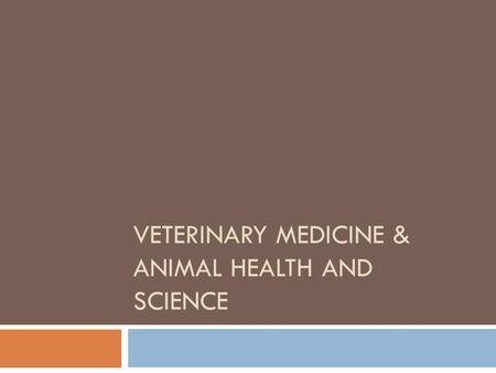 VETERINARY MEDICINE & ANIMAL HEALTH AND SCIENCE. How to Become a Vet  Education  Veterinarians must complete a Doctor of Veterinary Medicine (D.V.M.