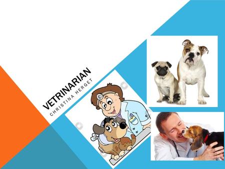 VETRINARIAN CHRISTINA HERGET. WHAT IS A VETRINARIAN… Veterinarians treat sick and injured animals, provide preventive medical services, and give advice.