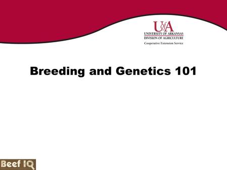 Breeding and Genetics 101.