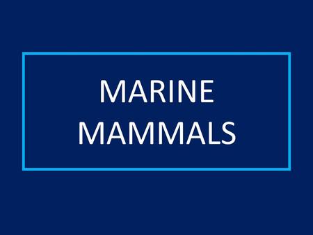 MARINE MAMMALS.  Mammals have a 4 chambered heart.  Mammals are warm-blooded.  Mammals have hair/fur.  Mammals have mammary glands.  Mammals give.