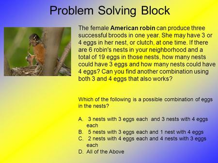Problem Solving Block The female American robin can produce three successful broods in one year. She may have 3 or 4 eggs in her nest, or clutch, at one.