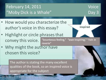 February 14, 2011 Voice “Moby Dick is a Whale” Day 3 How would you characterize the author’s voice in this essay? Highlight or circle phrases that convey.