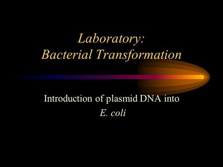 Laboratory: Bacterial Transformation