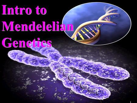 1 Intro to Mendelelian Genetics 2 Gregor Mendel (1822-1884) Responsible for the Laws governing Inheritance of Traits.