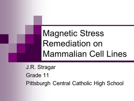 Magnetic Stress Remediation on Mammalian Cell Lines