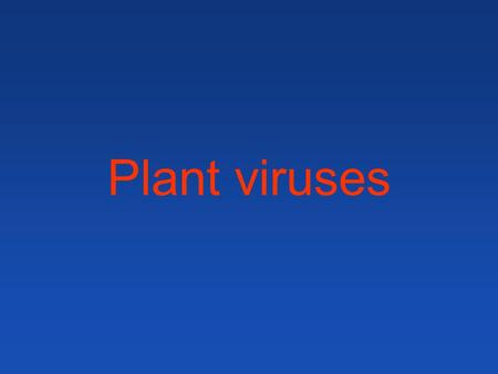 Plant viruses.