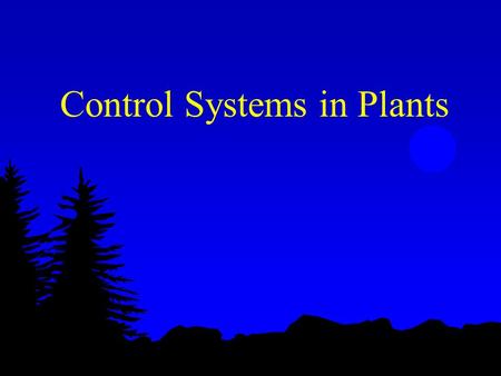 Control Systems in Plants. Plant Hormones l Coordinates growth l Coordinates development l Coordinates responses to environmental stimuli.